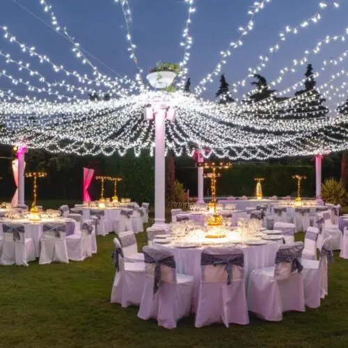 guirnaldablancacarpa guirnalda de luces led blanca