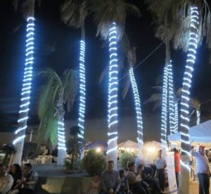 manguera led