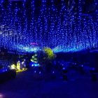 Cortina icicle led azul