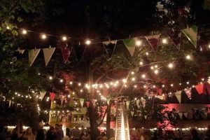Bombilla Led cálida opal E27 15ud