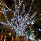 Guirnalda luces led blanco 3X4m cable verde