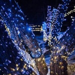 Guirnalda led azul destellos cable azul