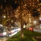 AGOTADO. Guirnalda Led Cálida 3x4m Cable Verde