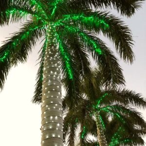 GUIRNALDA DE LED VERDE