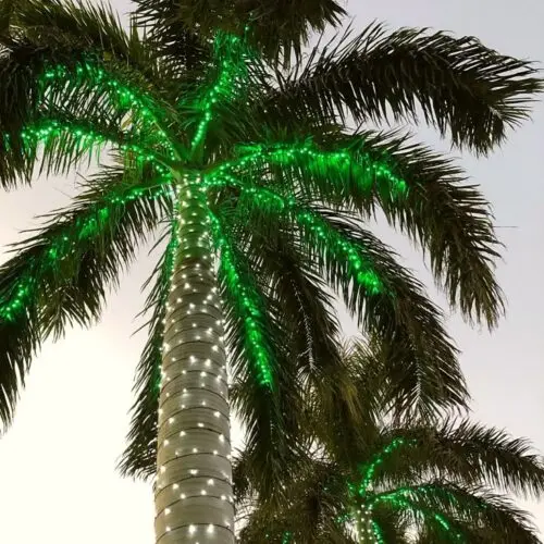 GUIRNALDA DE LED VERDE