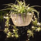 guirnalda de luces