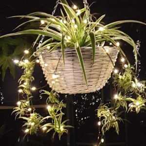 guirnalda de luces
