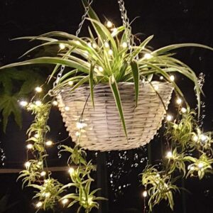 guirnalda de luces