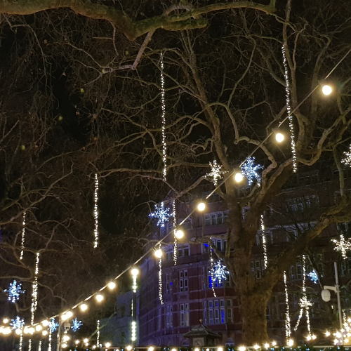 guirnalda de bombillas LED topluz