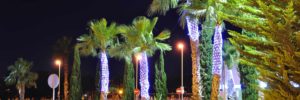 red de luces led palmeras