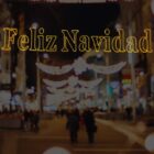 00040 Letrero LED Feliz Navidad 6mx90cm top luz