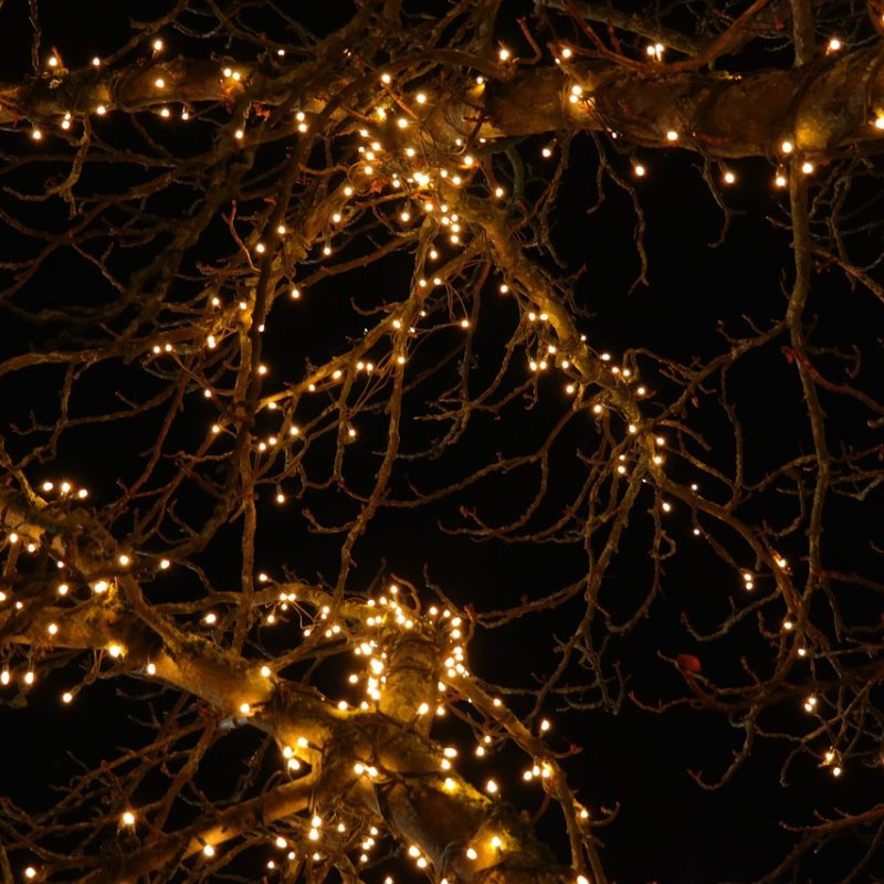 decoración luminosa árboles exterior