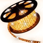 manguera led dorado