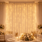 cortina micro led boda