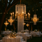 radiance jardin